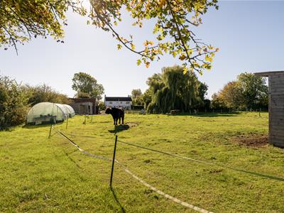 Picture 38